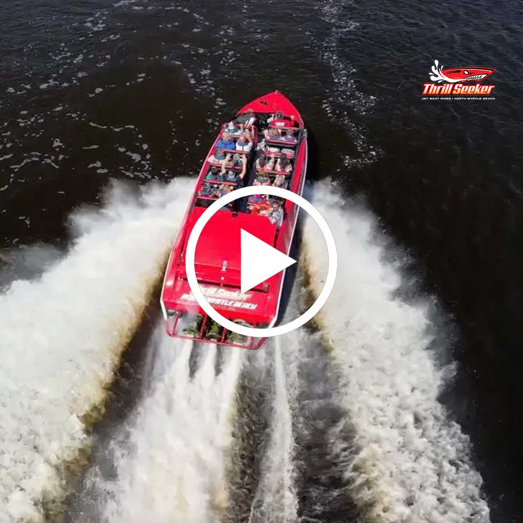 Thrill Seeker Video Thumbnail